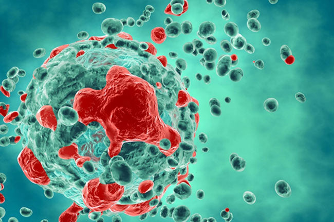 Cellular Senescence