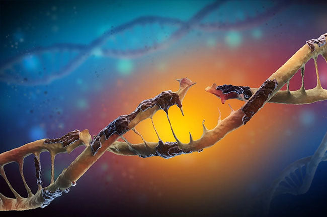 Genetic Instability